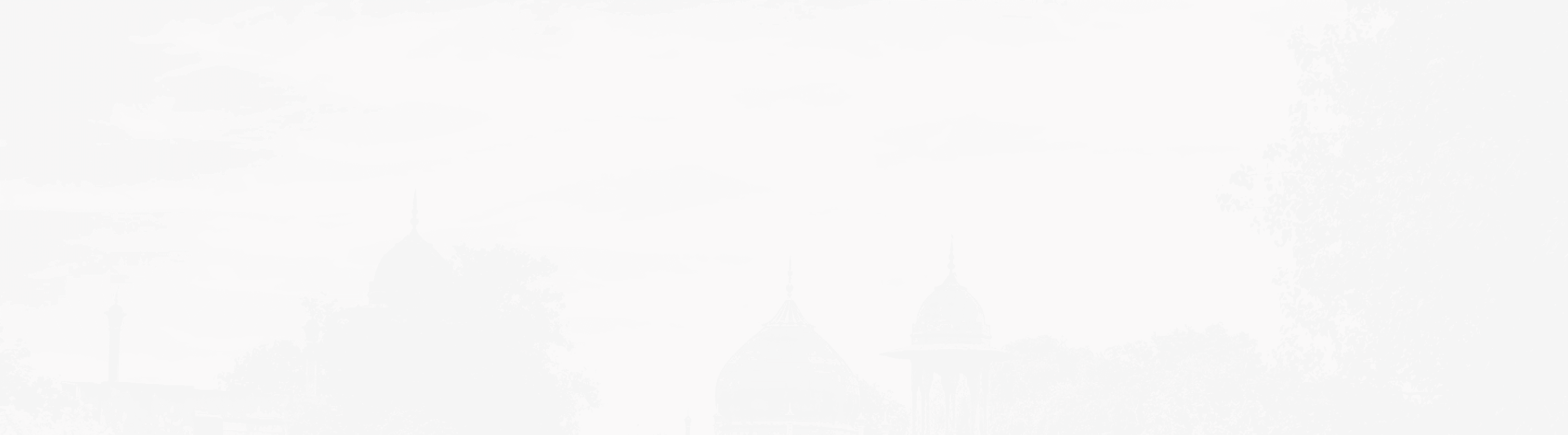 Banner of Udaipur